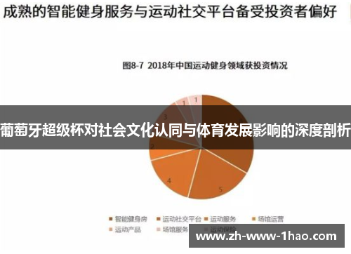 葡萄牙超级杯对社会文化认同与体育发展影响的深度剖析