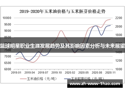 篮球明星职业生涯发展趋势及其影响因素分析与未来展望